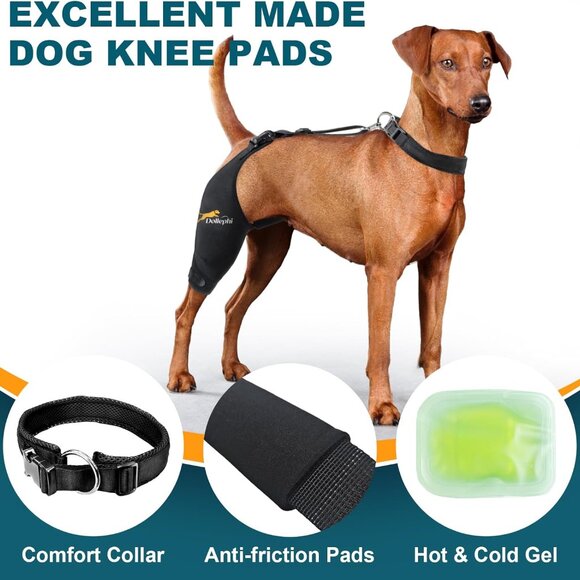 Dollephi Other - Dog Knee Brace for Torn ACL Hind Leg, Hot/Cold Compress  (Right Leg,M)